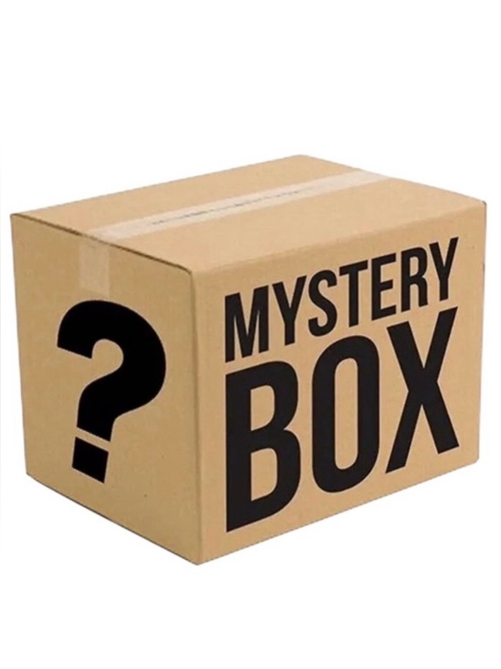 Mystery Box Surprise Pack of Ladies’ Clothes Size Large, Accessories & Other #1